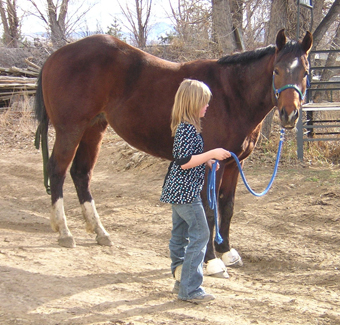 girl-leading-horse
