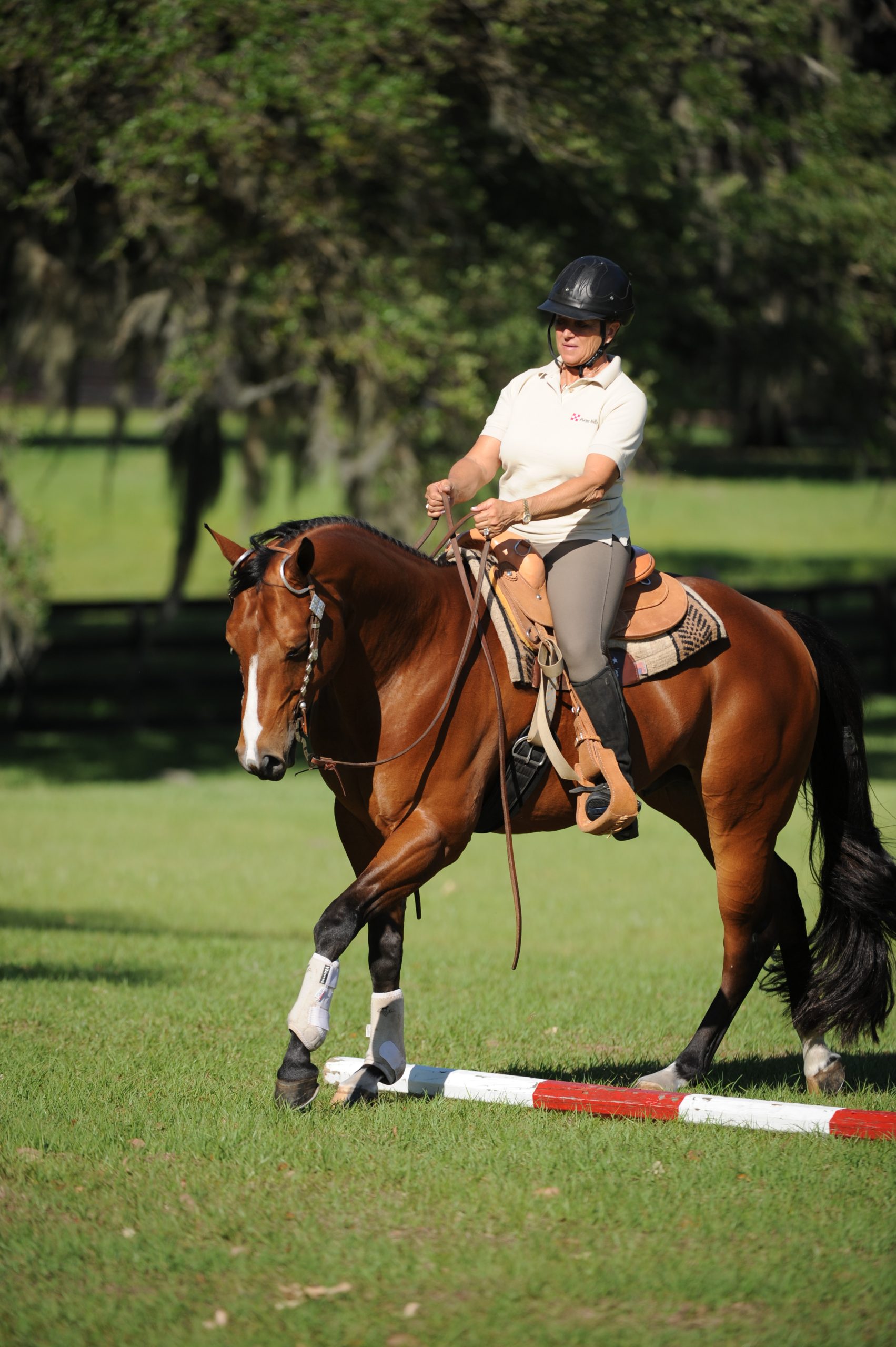 western horse training western pleasure training