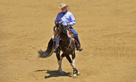 What Is A “Broke Horse?” – Part II