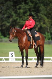 Western Dressage: Understanding Basic Level Tests 3 & 4 | Ride Magazine