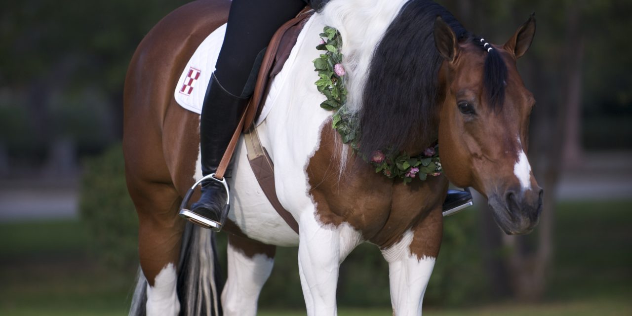 Western Dressage: Staying In Control