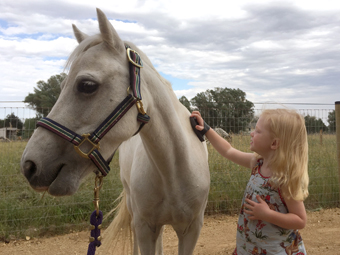 Sharing Your Passion For Horses With Kids