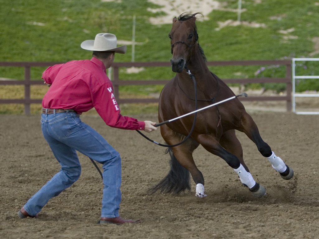 Earn Your Horse’s Respect Ride Magazine
