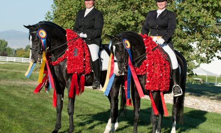 Unprecedented Sweep of the 2010 Arabian Sporthorse Nationals by Father and Daughter