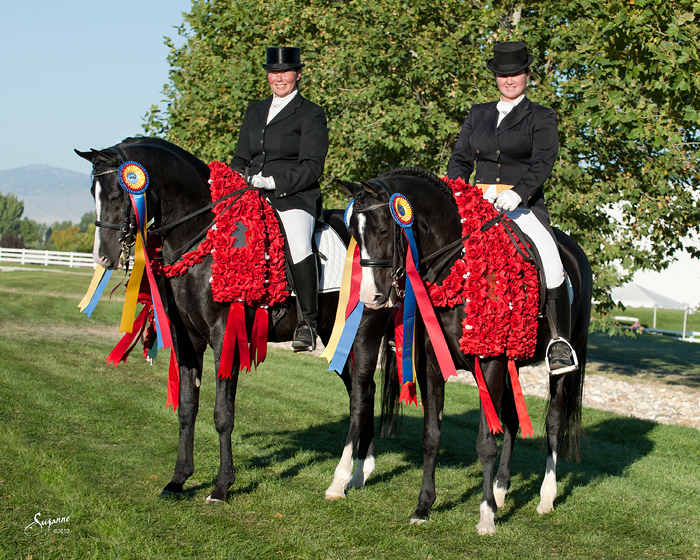 Unprecedented Sweep of the 2010 Arabian Sporthorse Nationals by Father and Daughter