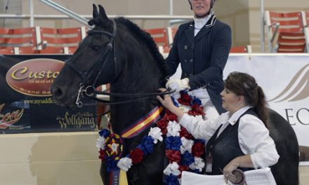 Susan Bouwman-Wind Claims Custom Saddlery MVR Award At International Friesian Show Horse World Championships