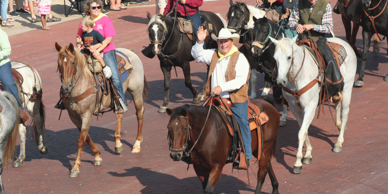 Cattle Drives – A New Trail Riding Opportunity