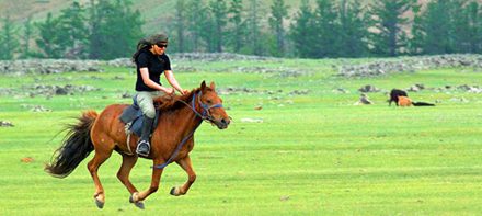 Mongolia’s Icon, The Horse, Meets up with Wild Women Expeditions On 14-Day Sensory Immersion in the Saddle