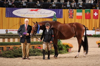 Junior Hunters Take Center Ring  at The Pennsylvania National Horse Show