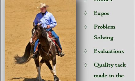 What to Consider When Looking For a Horse