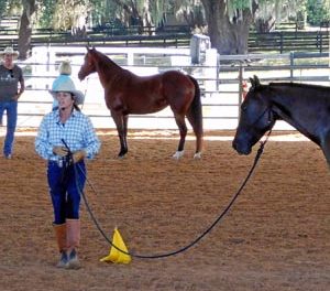 The Magic and Mystique of Horsemanship Clinics