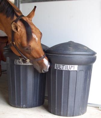 Storing Horse Feed
