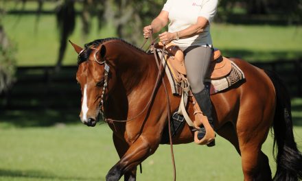 Western Dressage: Practice Tips as You Prepare to Advance to the Next Level