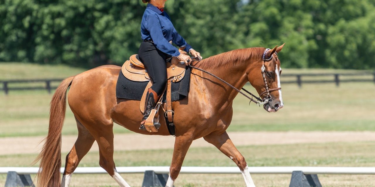 Western Dressage Benefits Any Horse