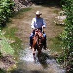 Bucking and Bolting on the Trail