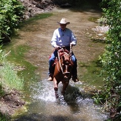 Bucking and Bolting on the Trail