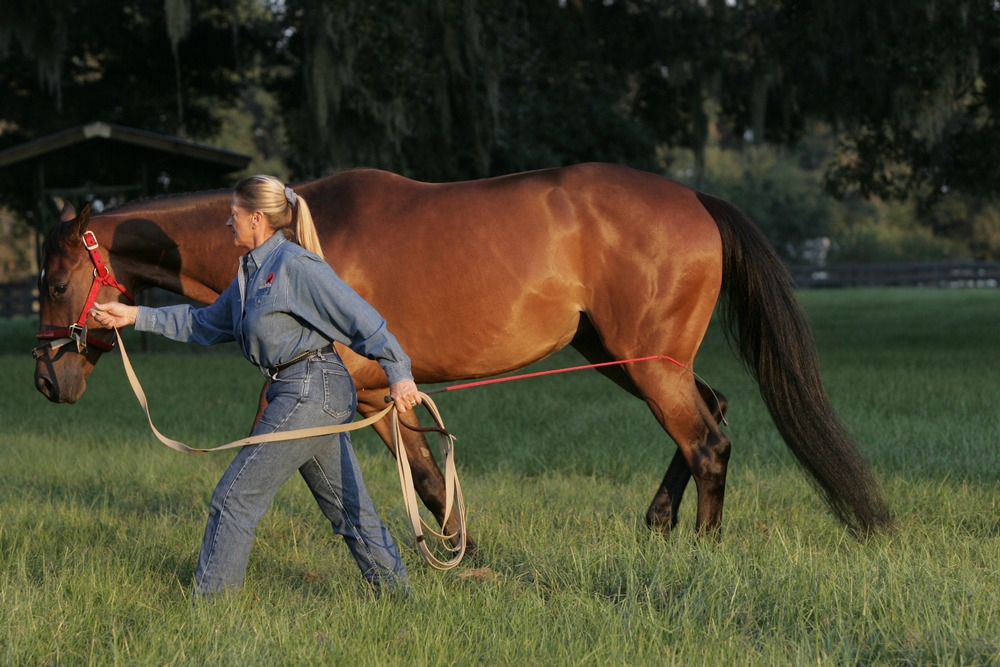 leading position with rope